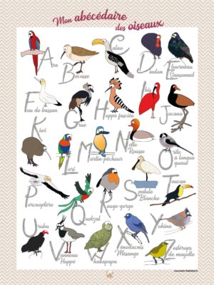 Abécédaires des oiseaux