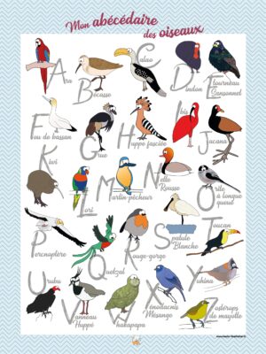 Abécédaires des oiseaux