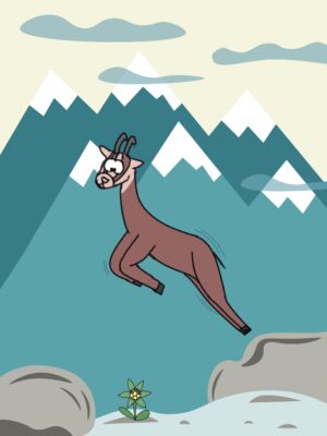 Illustration chamois