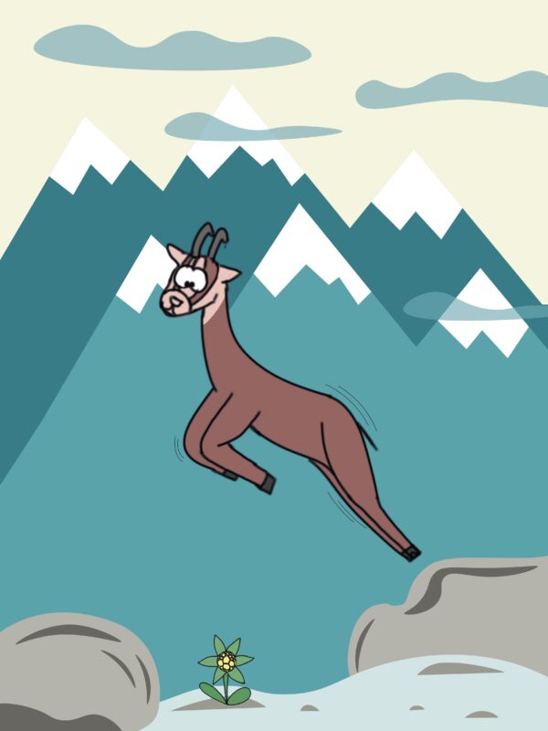 illustration chamois