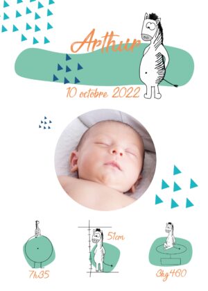 Affiche de naissance personnalisée Zèbre