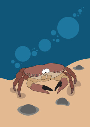 Illustration crabe