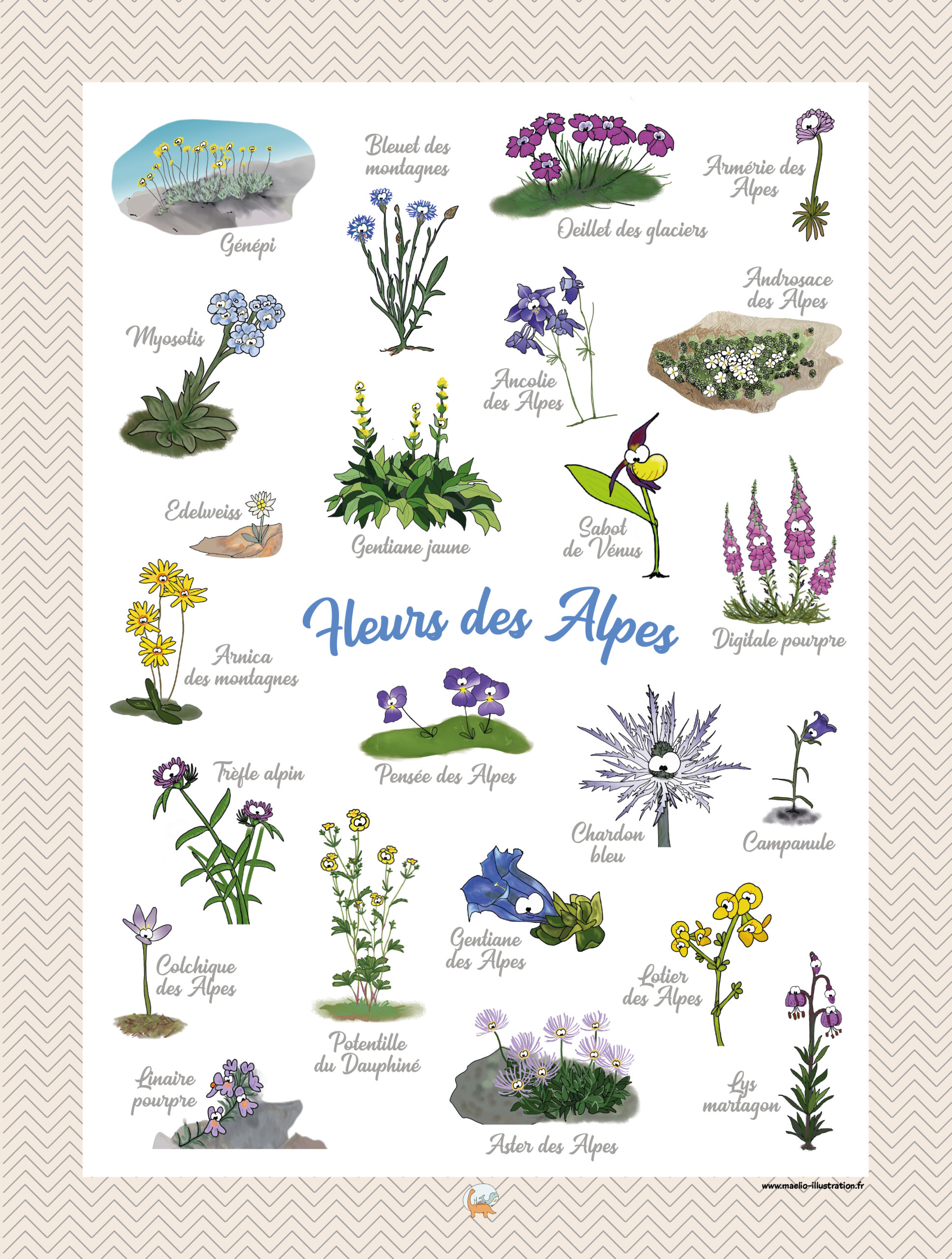 Affiche fleurs des Alpes