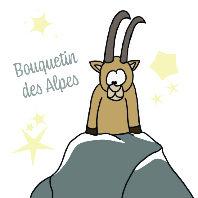 PRECOMMANDES Mémory Faune et Flore des Alpes – Image 5