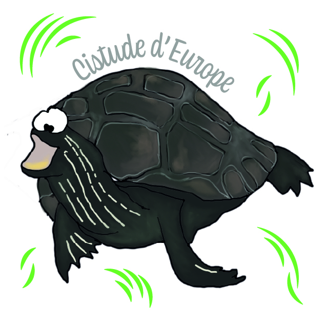 PRECOMMANDES Mémory Faune et Flore des Alpes – Image 6