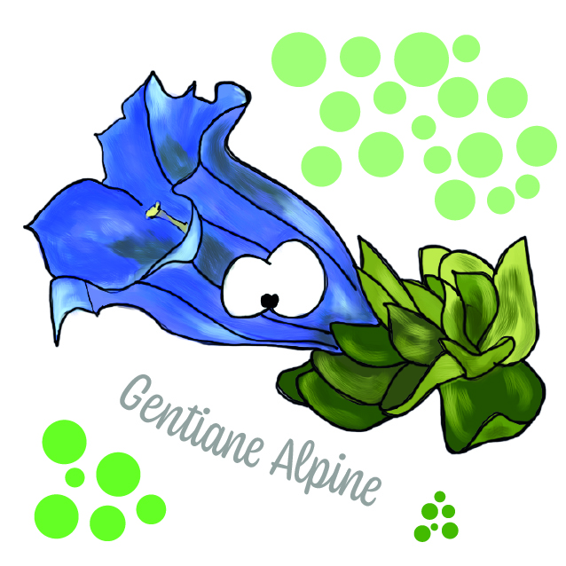 PRECOMMANDES Mémory Faune et Flore des Alpes – Image 7