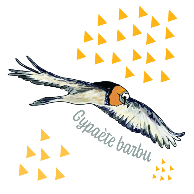 PRECOMMANDES Mémory Faune et Flore des Alpes – Image 8